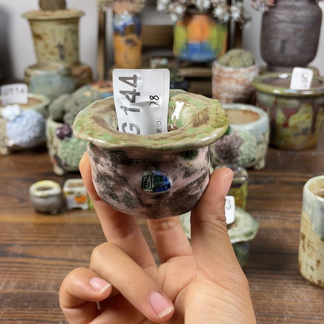 坛子姐花盆 小白孤品 内口3.5