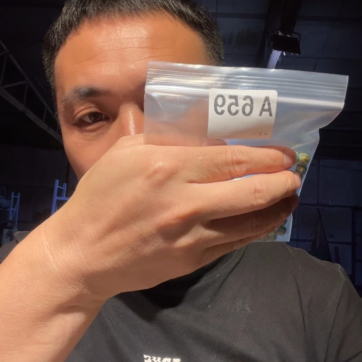 大理石磁石文玩659