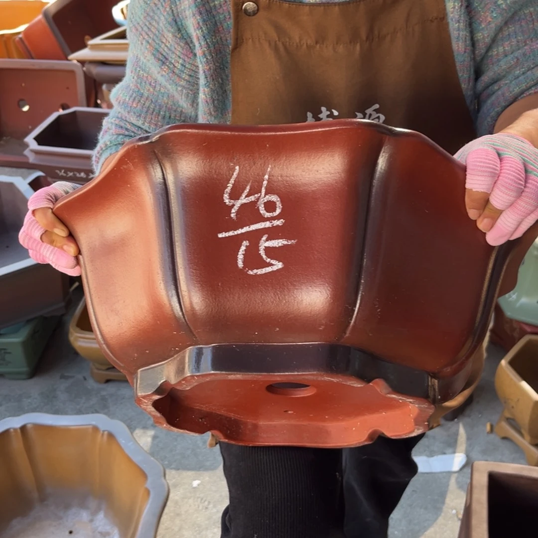 花盆紫砂盆景艺术