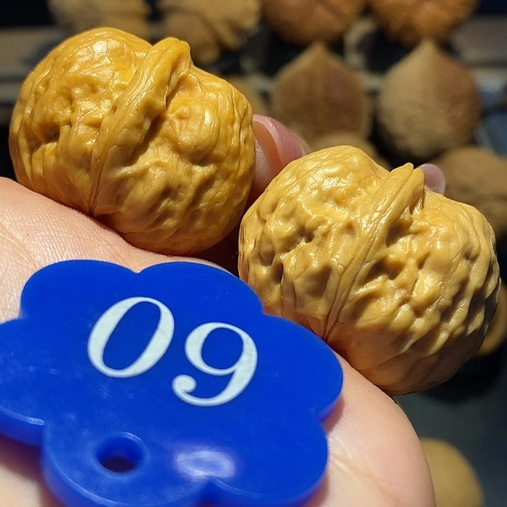 核桃聚宝元宝尺寸34