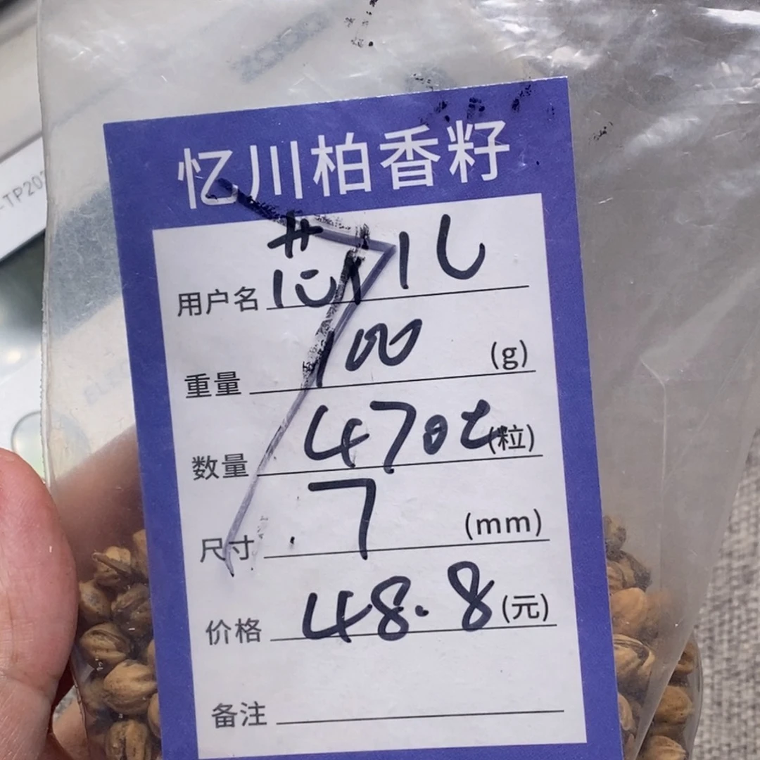柏香籽/百香籽吊坠芯*