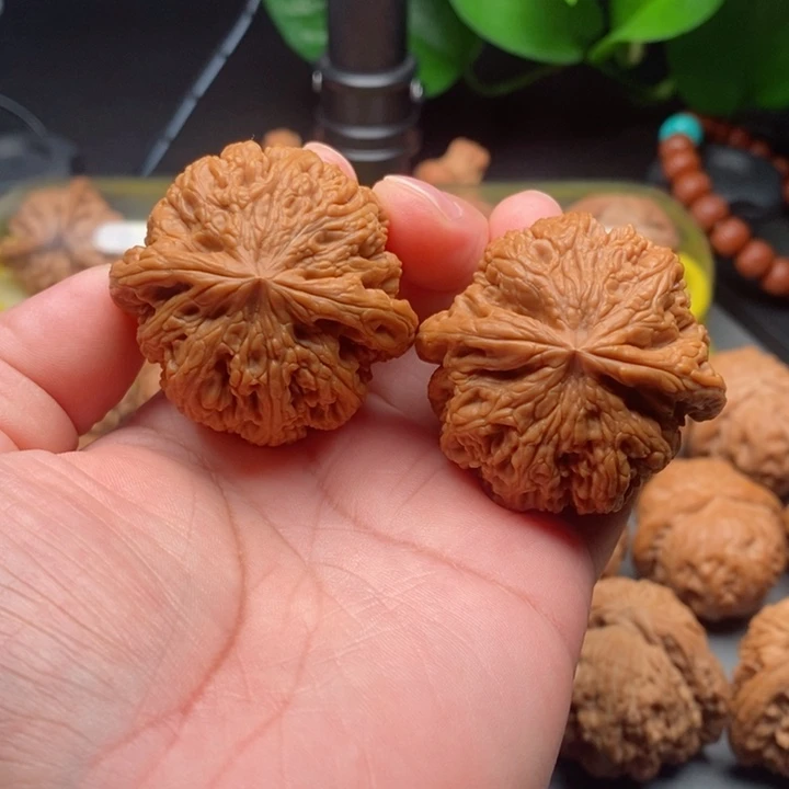 把件文玩核桃大粗筋