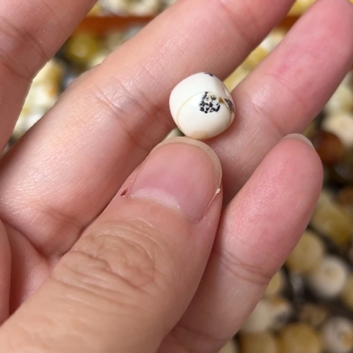 蜜蜡未镶嵌裸石10.4mm一个