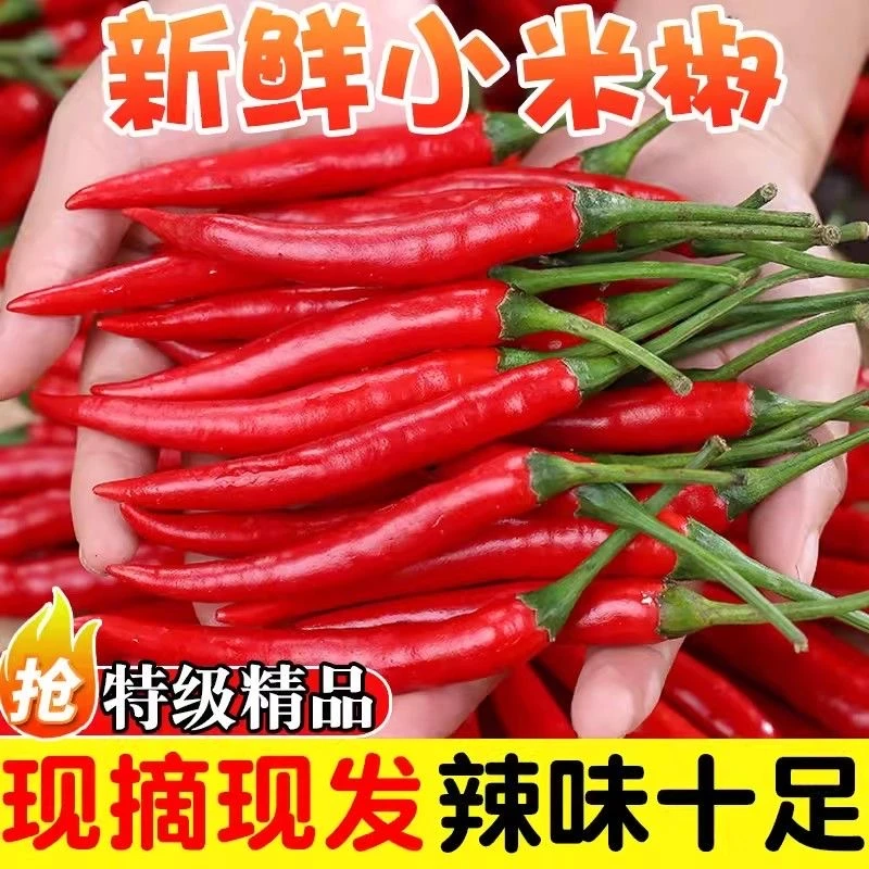 三斤价格新鲜小米辣椒辣椒酱超辣特辣微辣红辣椒农家