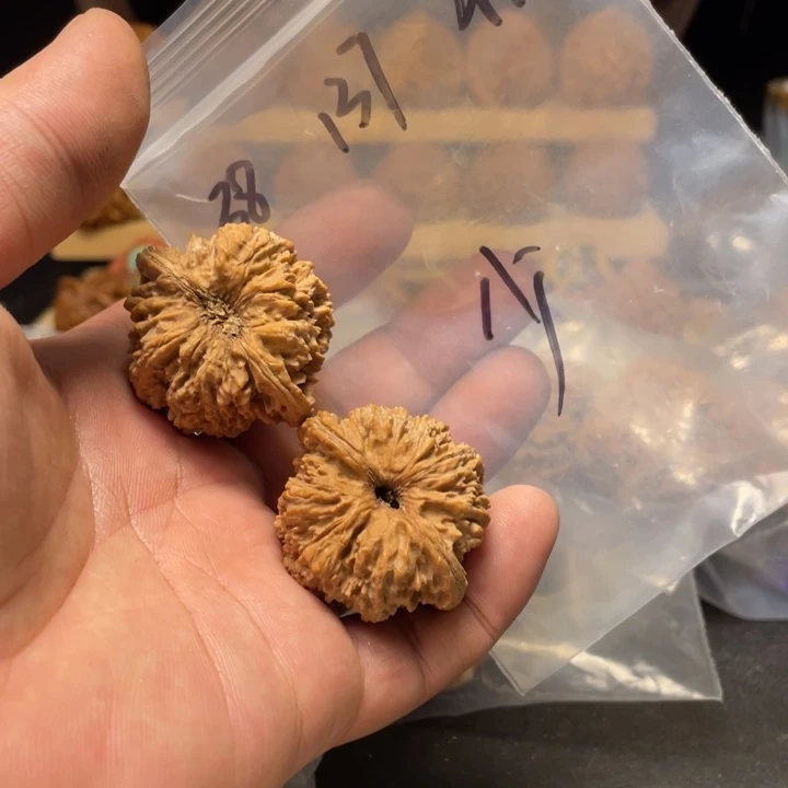 晏***少文玩核桃把件137狮子头