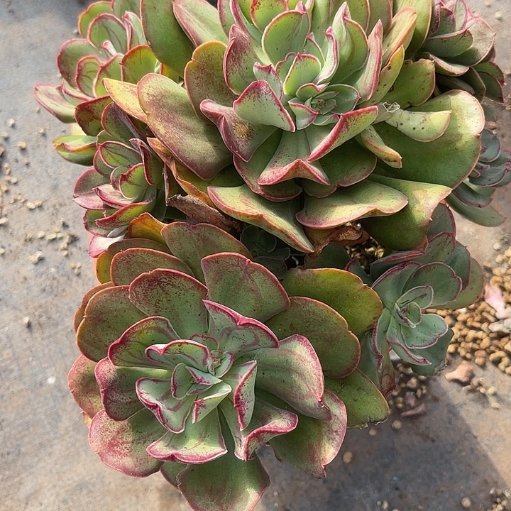 蔷***院这里可以看到一个非常316