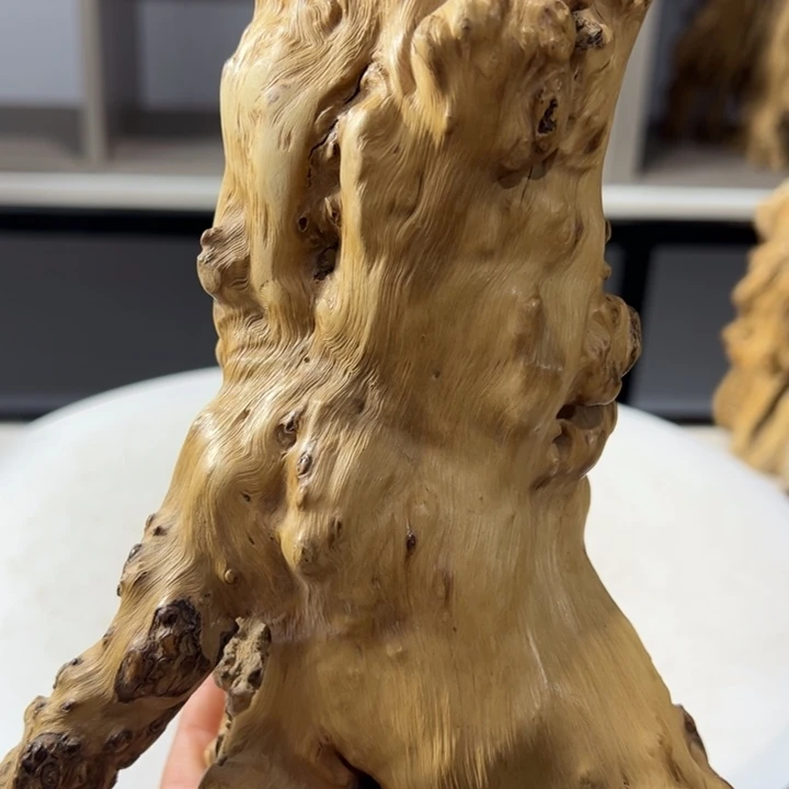 木石榴木榴疤茶桶笔筒