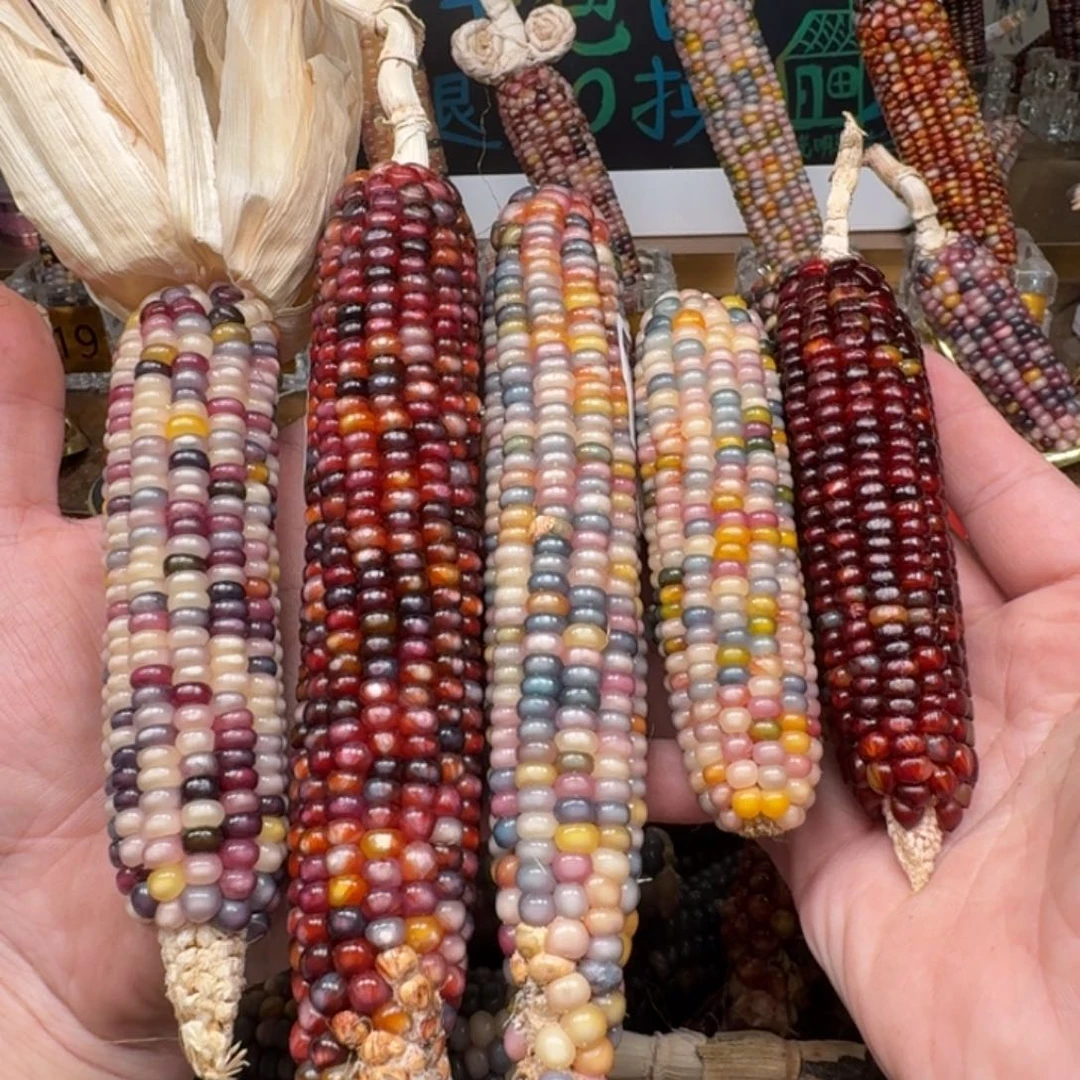 柏香籽/百香籽吊坠于*果