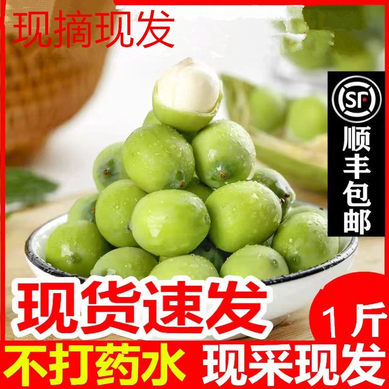 新鲜莲蓬可生吃莲蓬现摘现发莲蓬即食孕妇水果夏天水果莲子米去芯