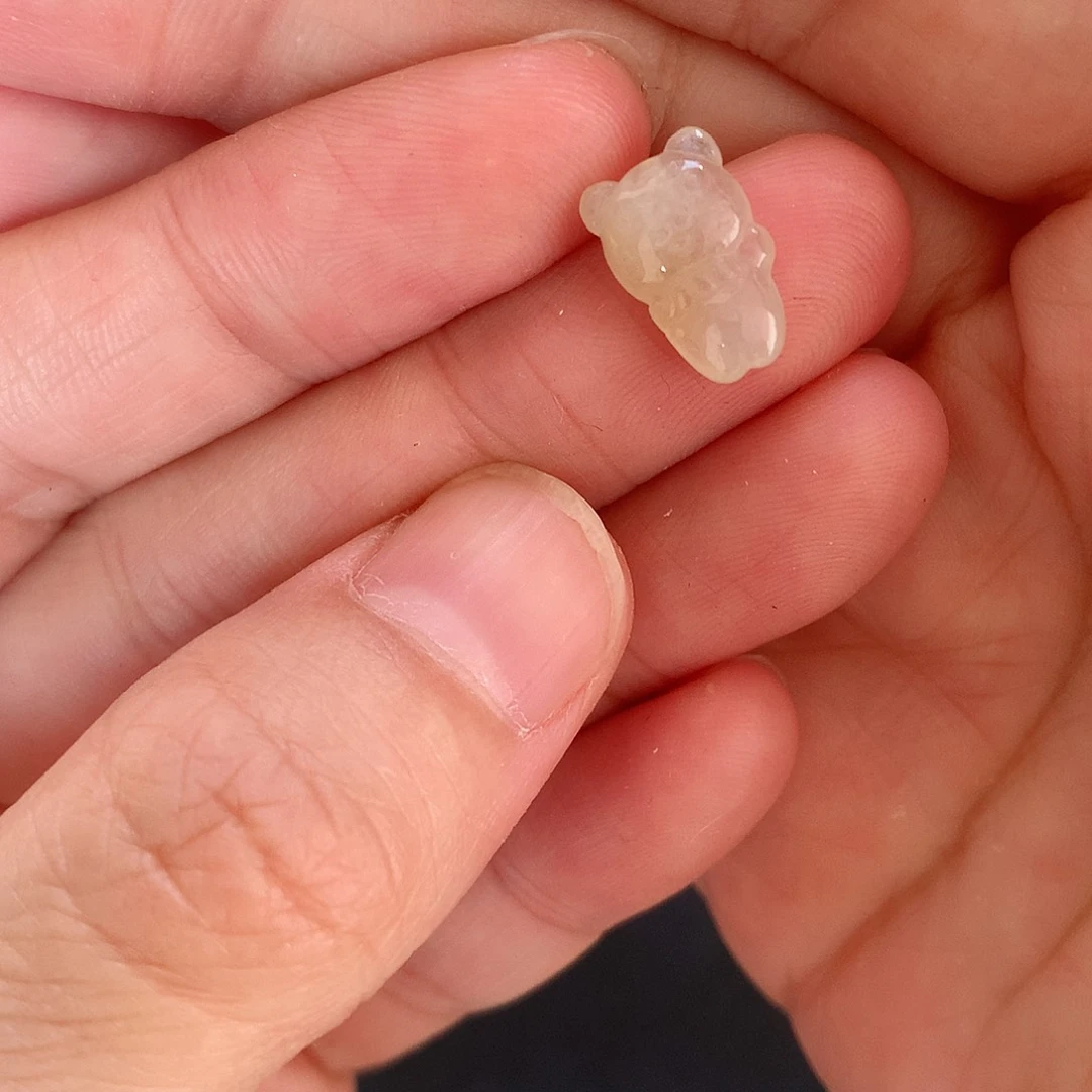 颈饰未镶嵌翡翠熊