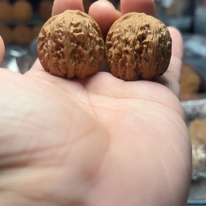 文玩核桃龙王胆35-353