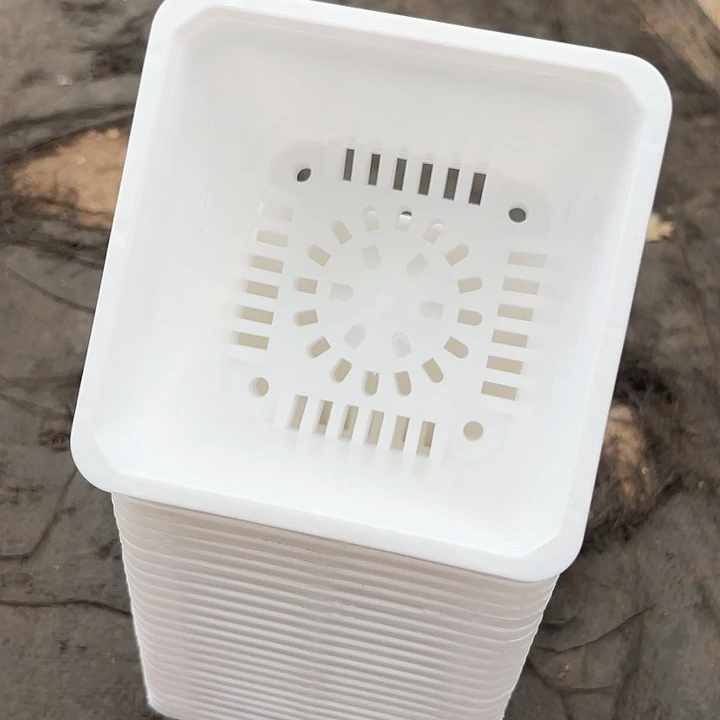 120白方盆11公分高8公分15个