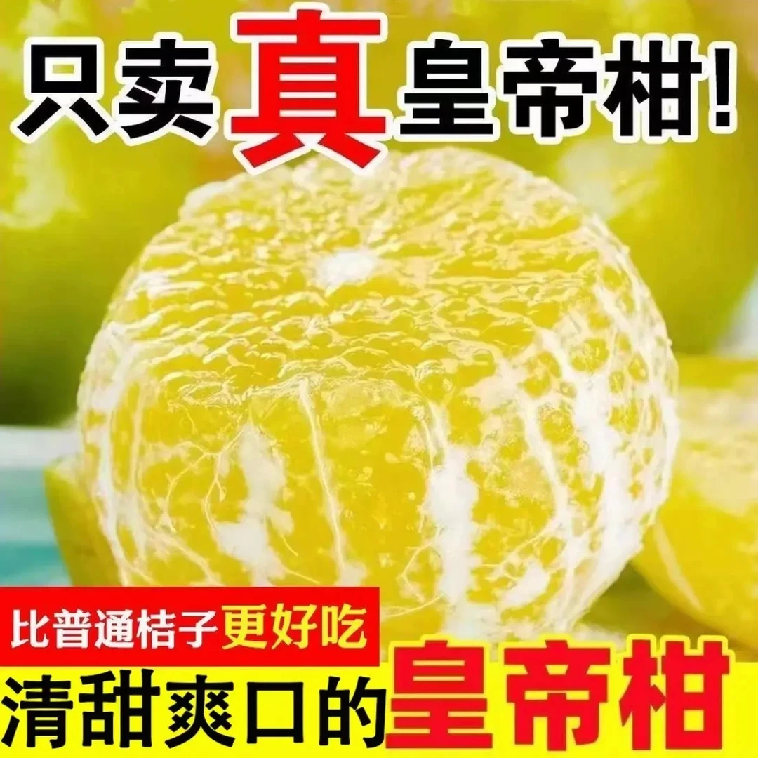 【5斤】超甜广西皇帝柑贡柑当季新鲜水果现摘清甜多汁薄皮柑橘