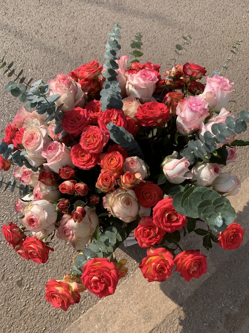 爱莎10枝/20枝+爱丽丝（3-5枝）+尤加利 {0度请拍1号保温箱}