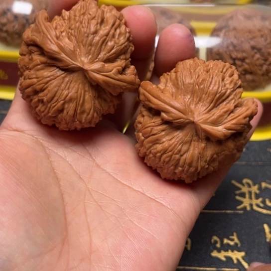 白狮子异形已经打底