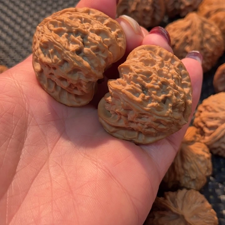 K***o把件文玩核桃白狮子