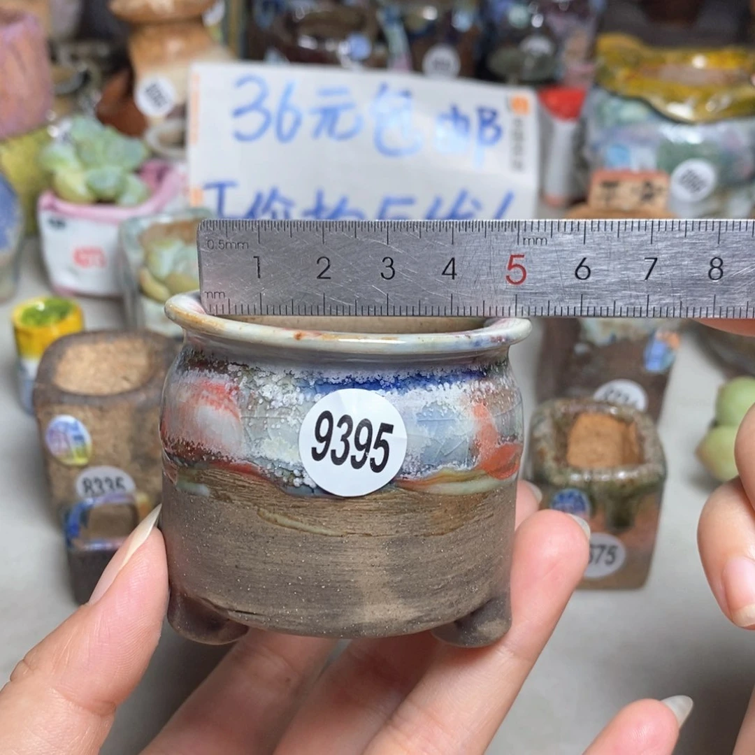 拍5送一个小礼物