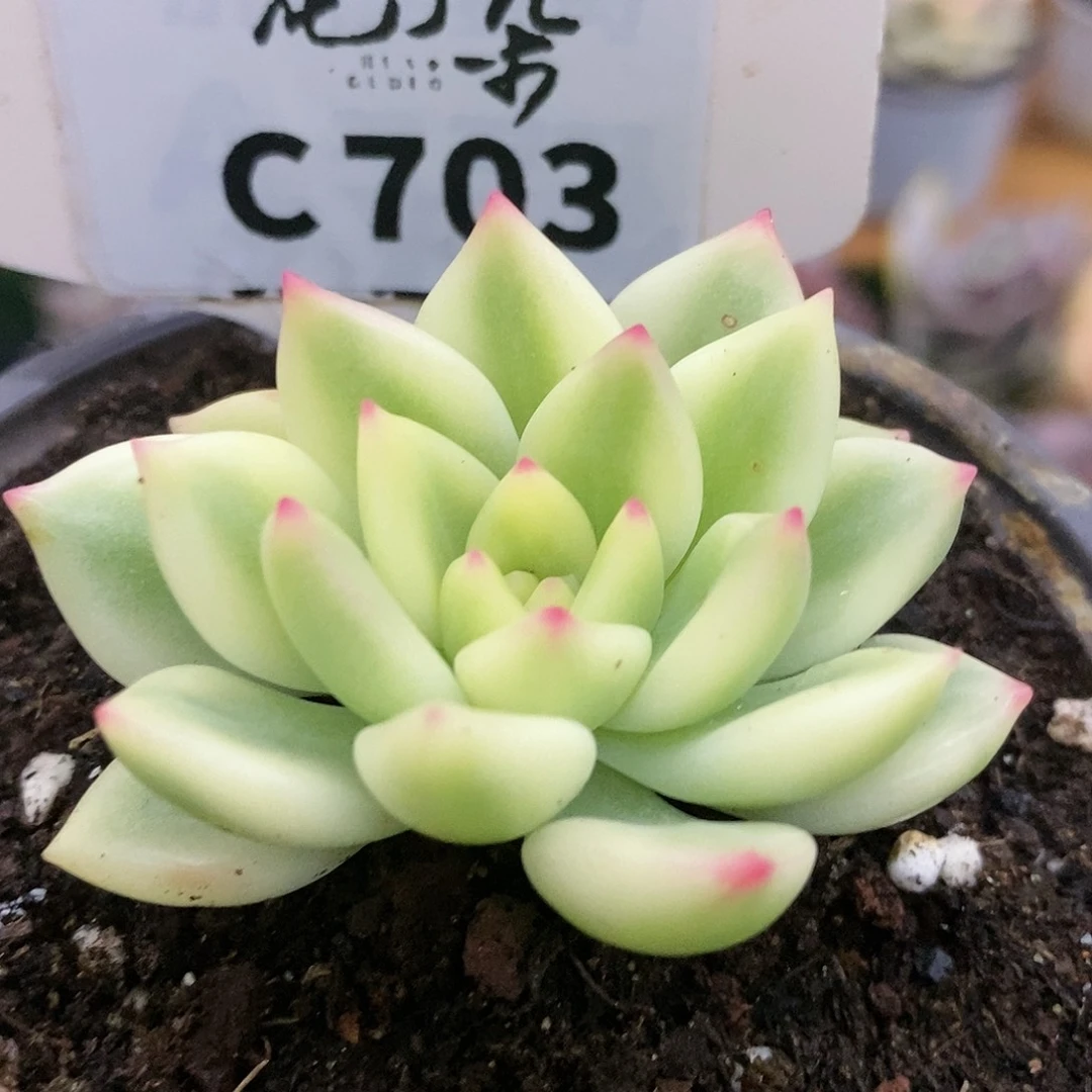 一***)703哈哈哈哈哈哈哈