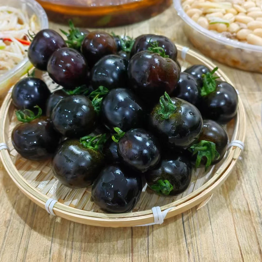 【刘耕宏健康来了】纯天然高花青素黑宝石小番茄寿光原产地现摘现发
