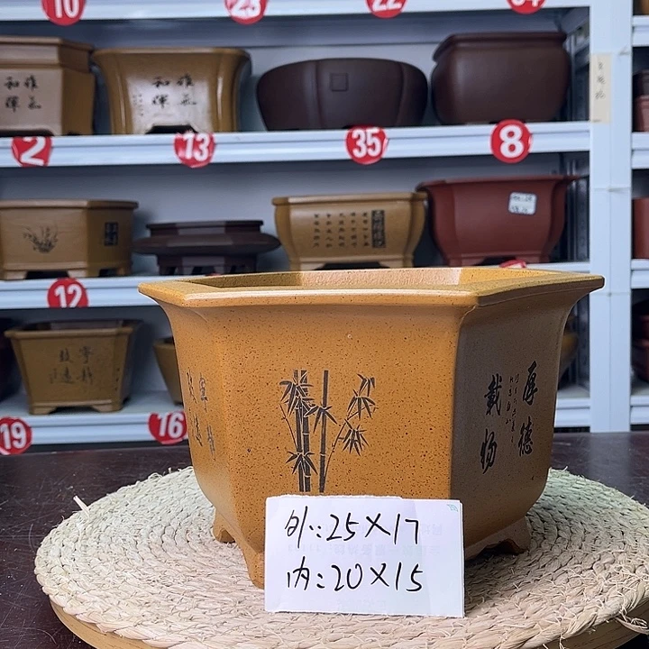 紫砂花盆你在一起