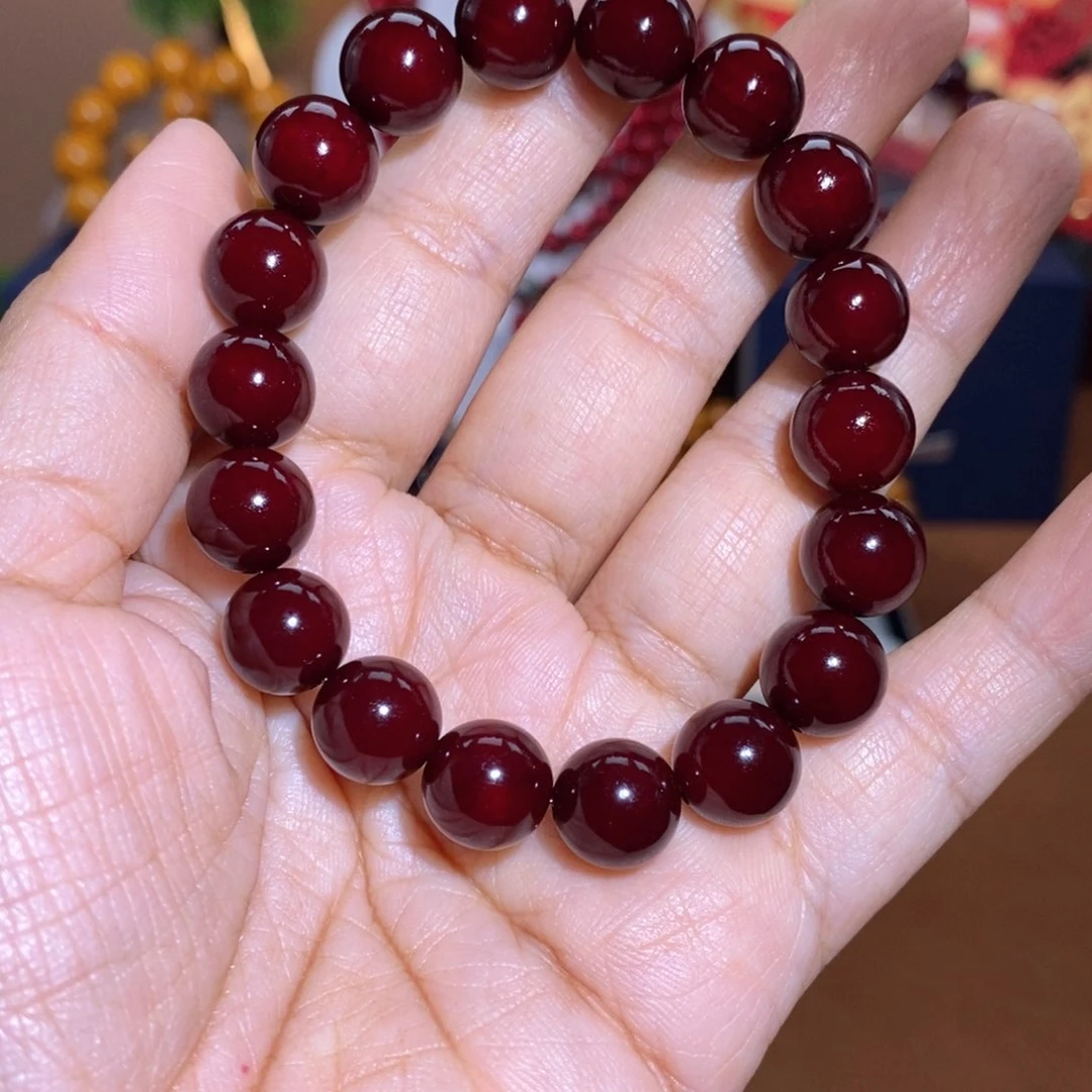 贝壳杉帝王血龙木1.0千年