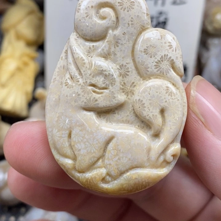 硅化珊瑚（珊瑚玉）未镶嵌颈饰