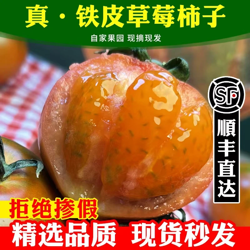正宗丹东铁皮草莓柿子盘锦碱地即食新鲜自然熟绿腚番茄水果西红柿
