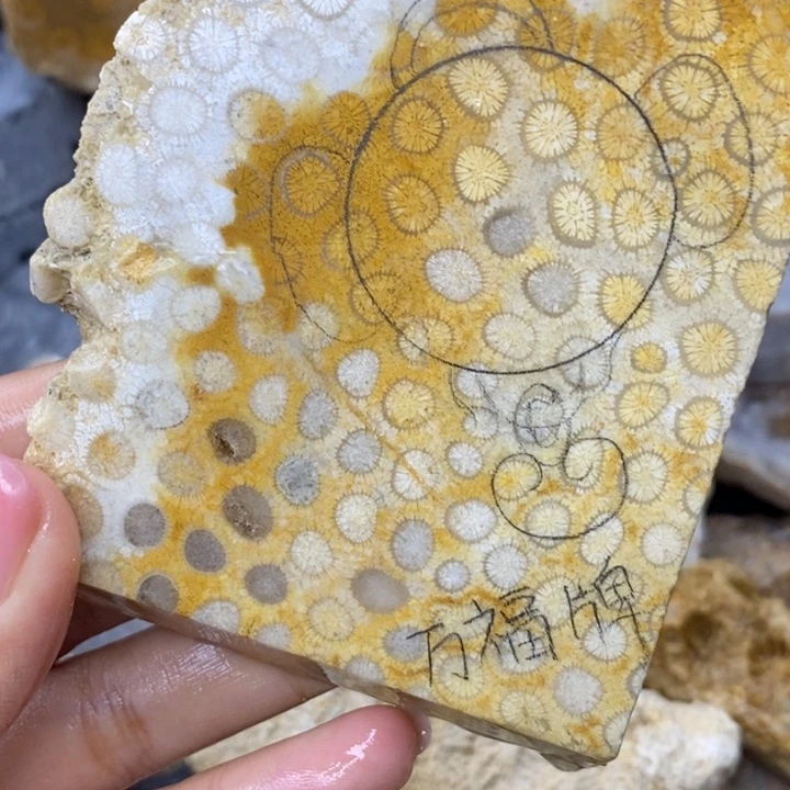 【闪购商品】未镶嵌珊瑚玉硅化玉