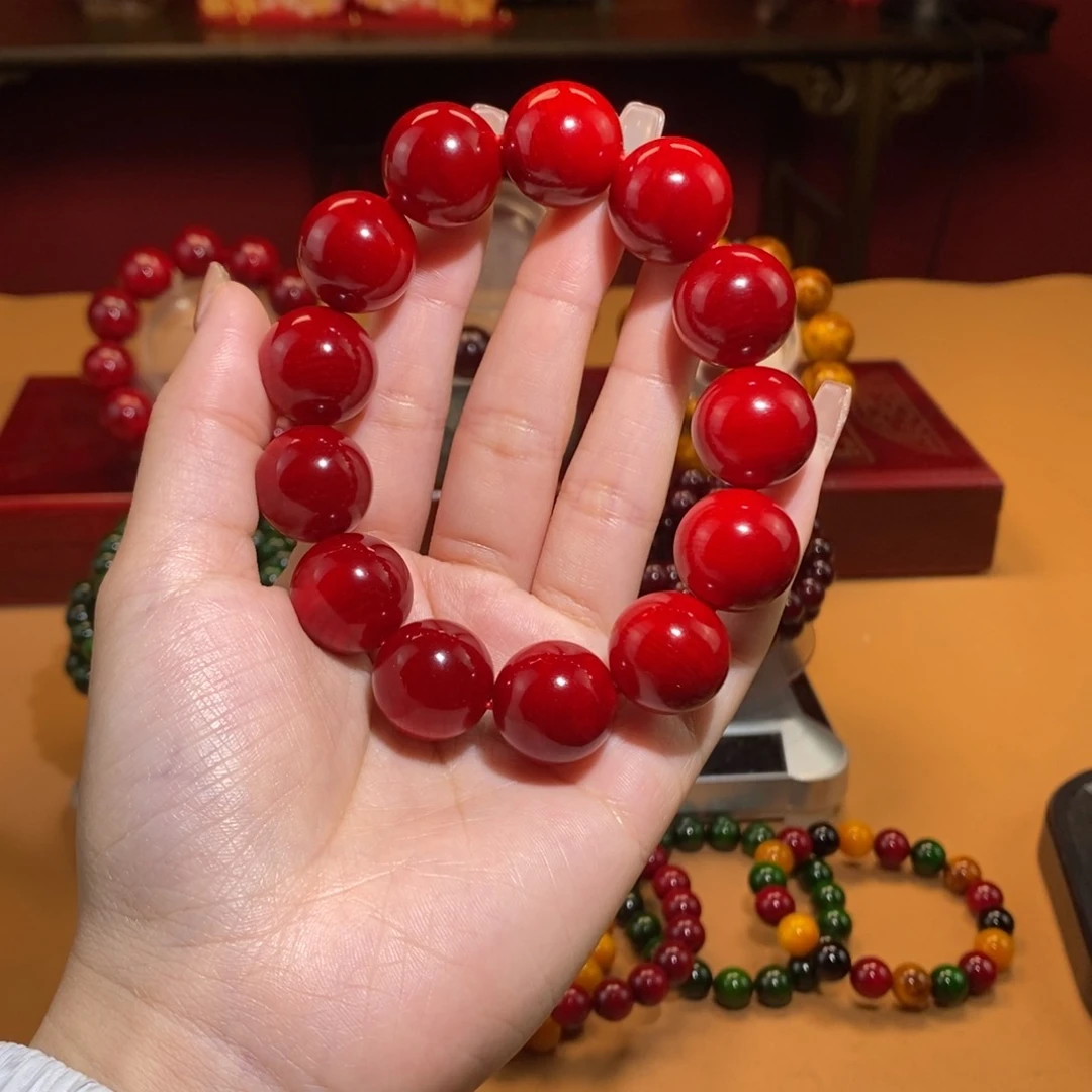 贝壳杉帝王血龙木1.8