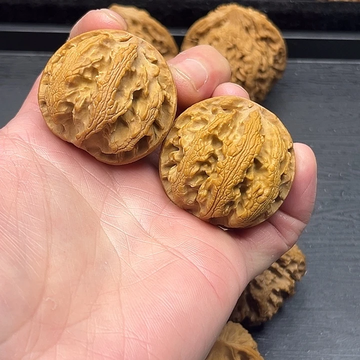 木质类秦岭突突突突突突