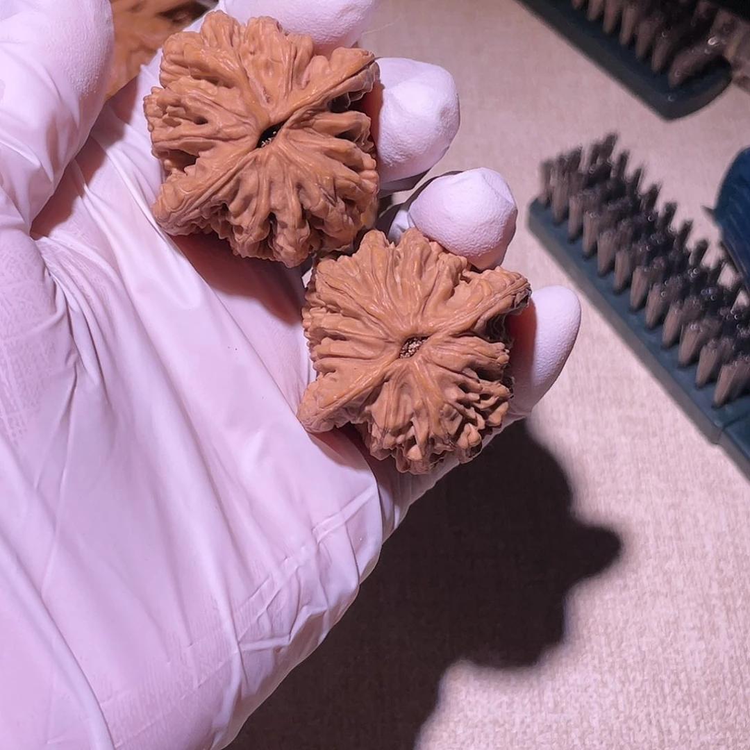 【闪购商品】40虎头