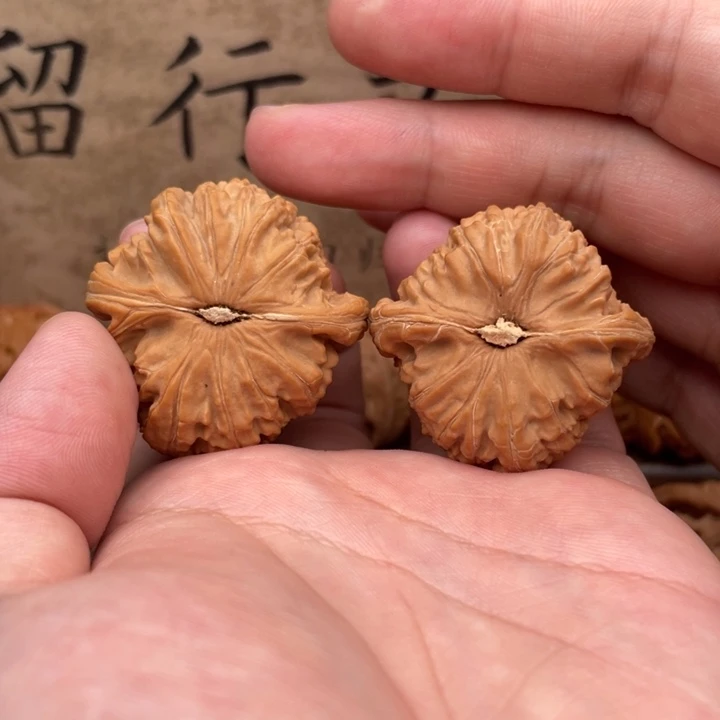 s***n把件文玩核桃39白狮子