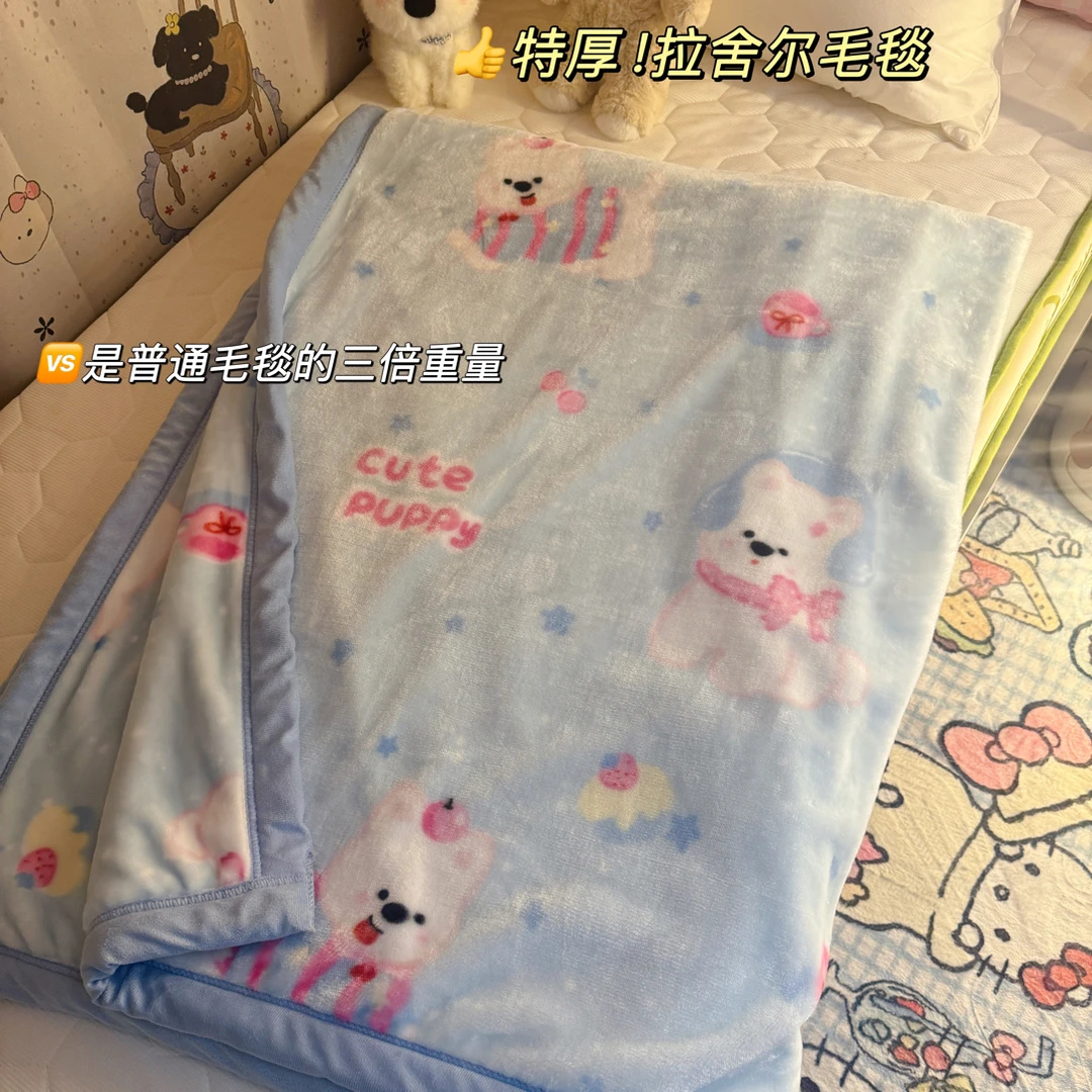 新款拉舍尔牛奶绒特厚双层加厚超柔云毯A类盖毯毯子少女心毛毯