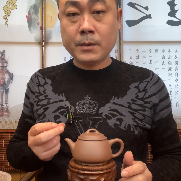 茶壶紫砂原矿紫泥全手工颖瓢165毫升