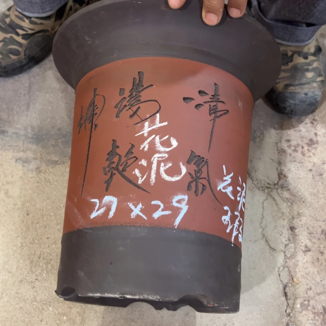 紫砂工艺厂……紫砂工艺厂