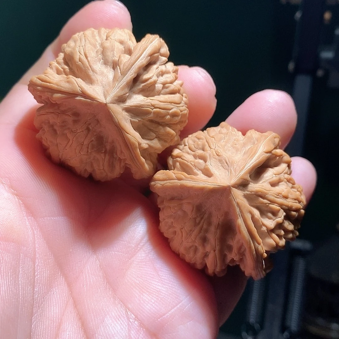 把件文玩核桃44文山三棱全品