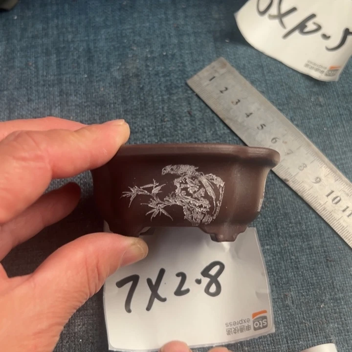 呜呜呜太好看太好看