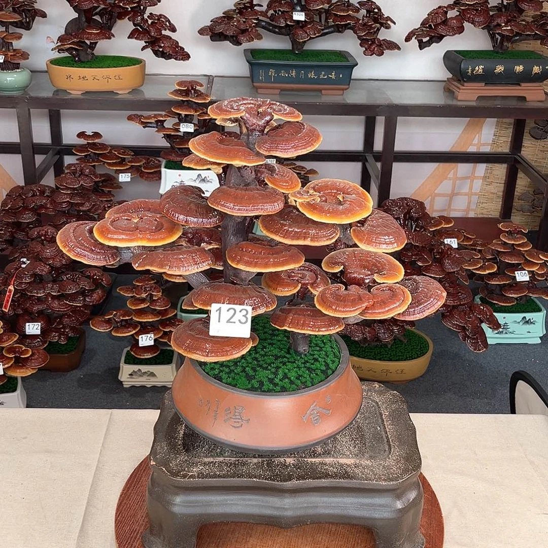 万事如意88888123