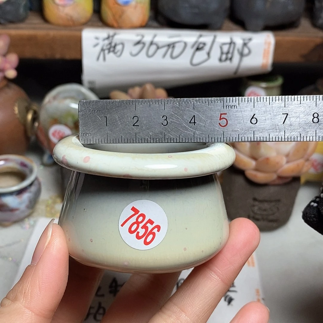 红陶拍5送一个小