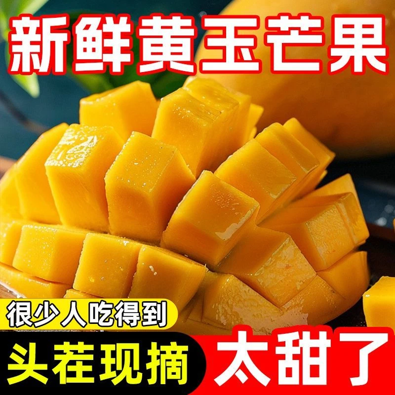 【自然成熟】海南芒果昌江特产黄玉芒产地直发现摘现发金煌芒甜心芒