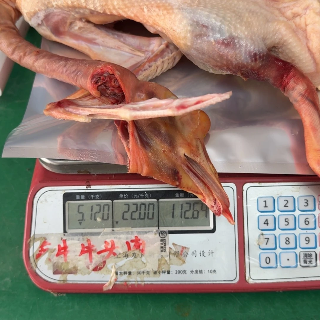 1中国大陆包装大鹅
