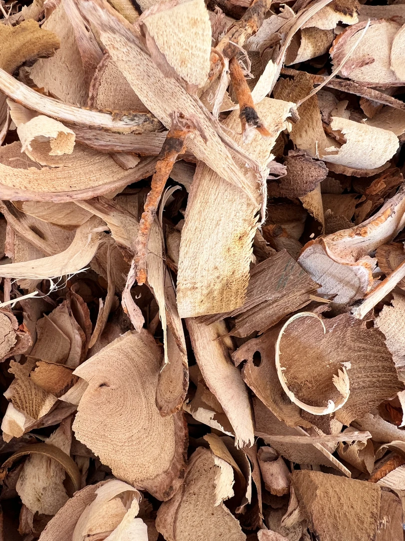 【自然生长】深山采挖自然晒干 代用茶  穿破石 500g