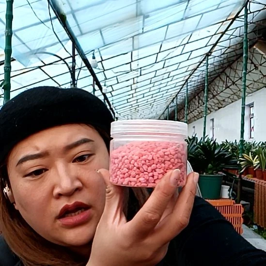 小红粒两盒35元！！！