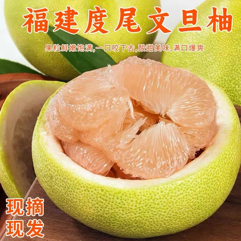 【供销社优选精品柚】福建度尾文旦柚老树红心蜜柚现摘水果顺丰直达
