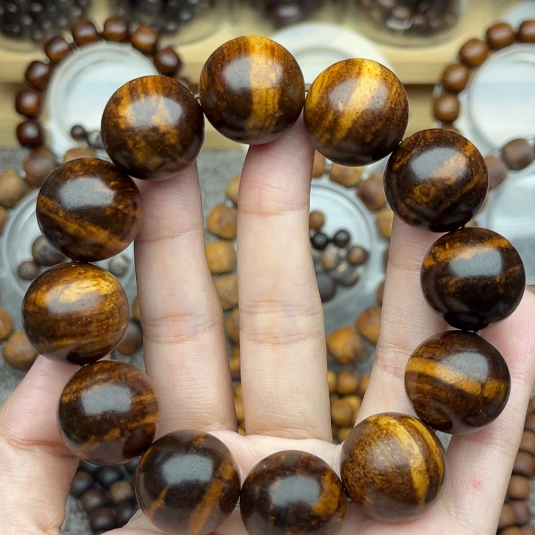 鱼***泡贡木巴布亚2.0虎眼