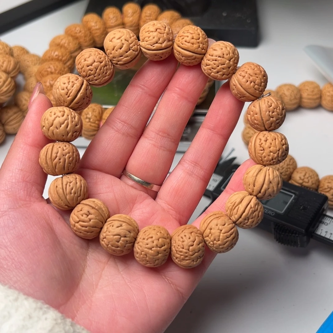 17尺寸野生铁扇桃核