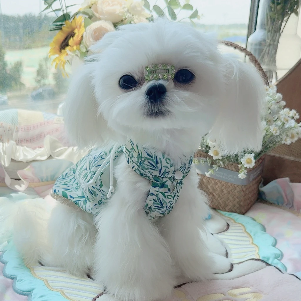 夏季新款宠物服国风水墨竹叶旗袍