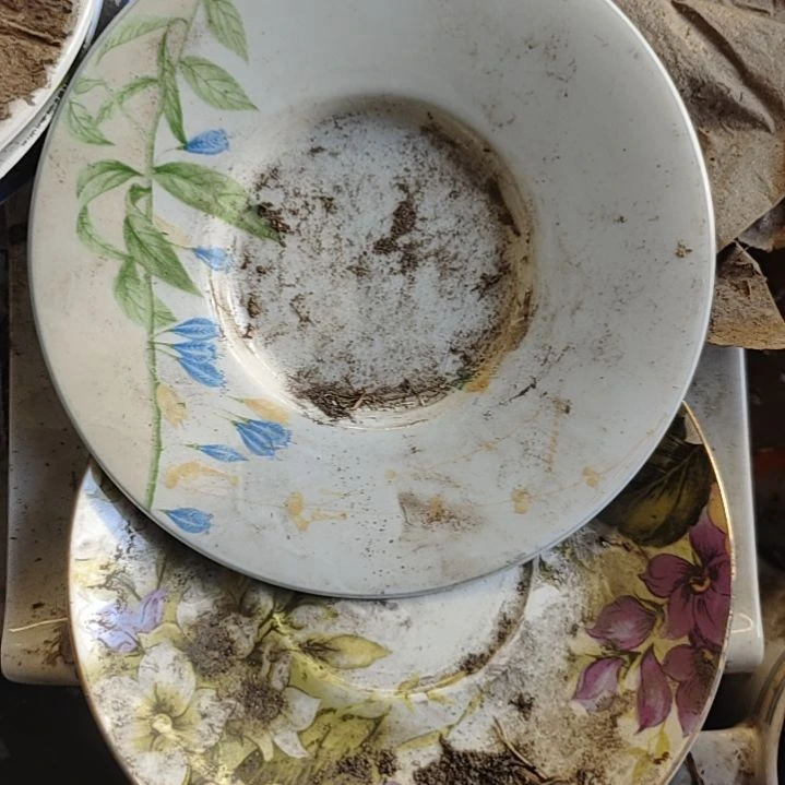 瓷发两个碟子，国营四厂库存，