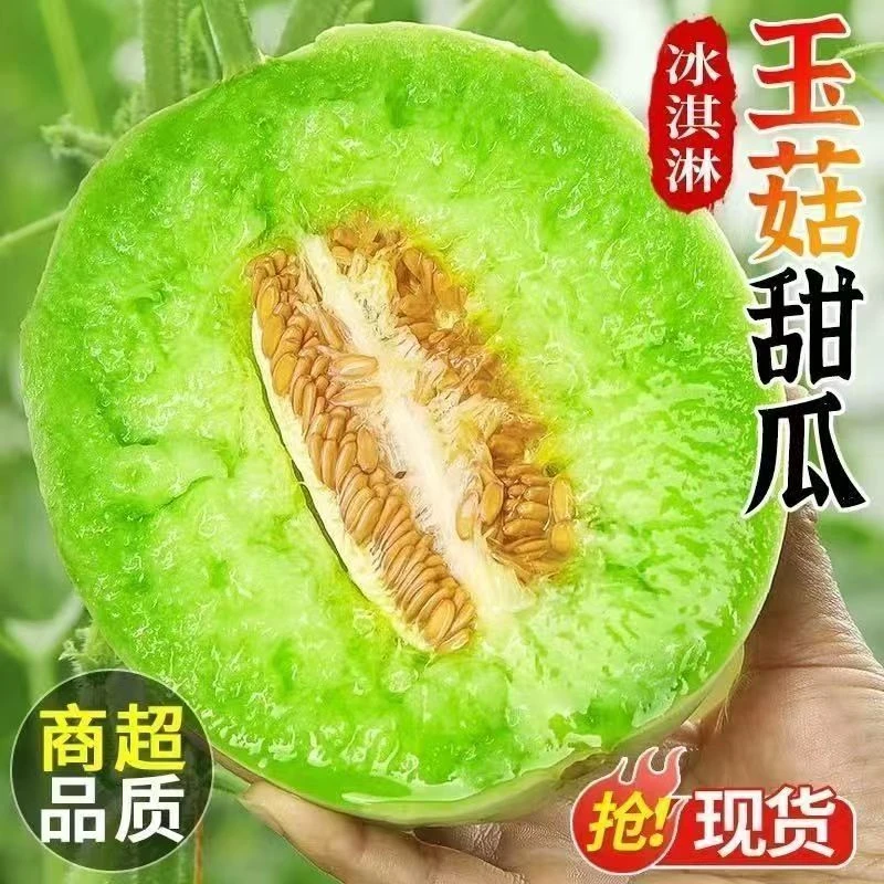山东玉菇冰淇淋甜瓜新鲜采摘软糯香甜当季水果
