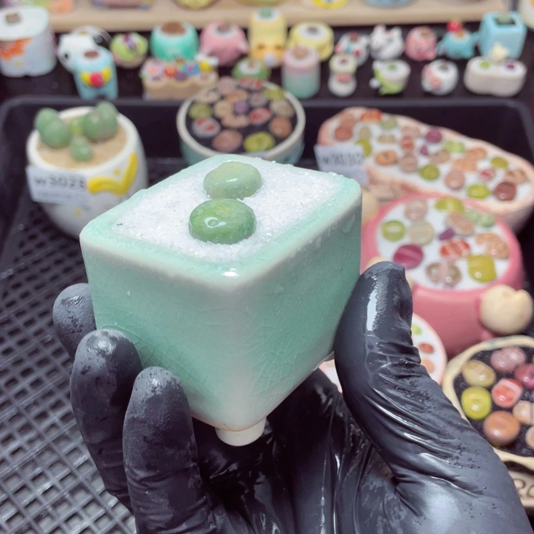 w3033--带盆土发货，零下地区拍保温箱